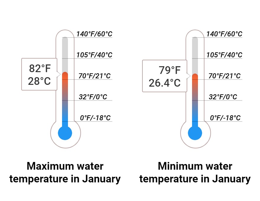 What to do in January in Jamaica 2025 Winter Sun Expert